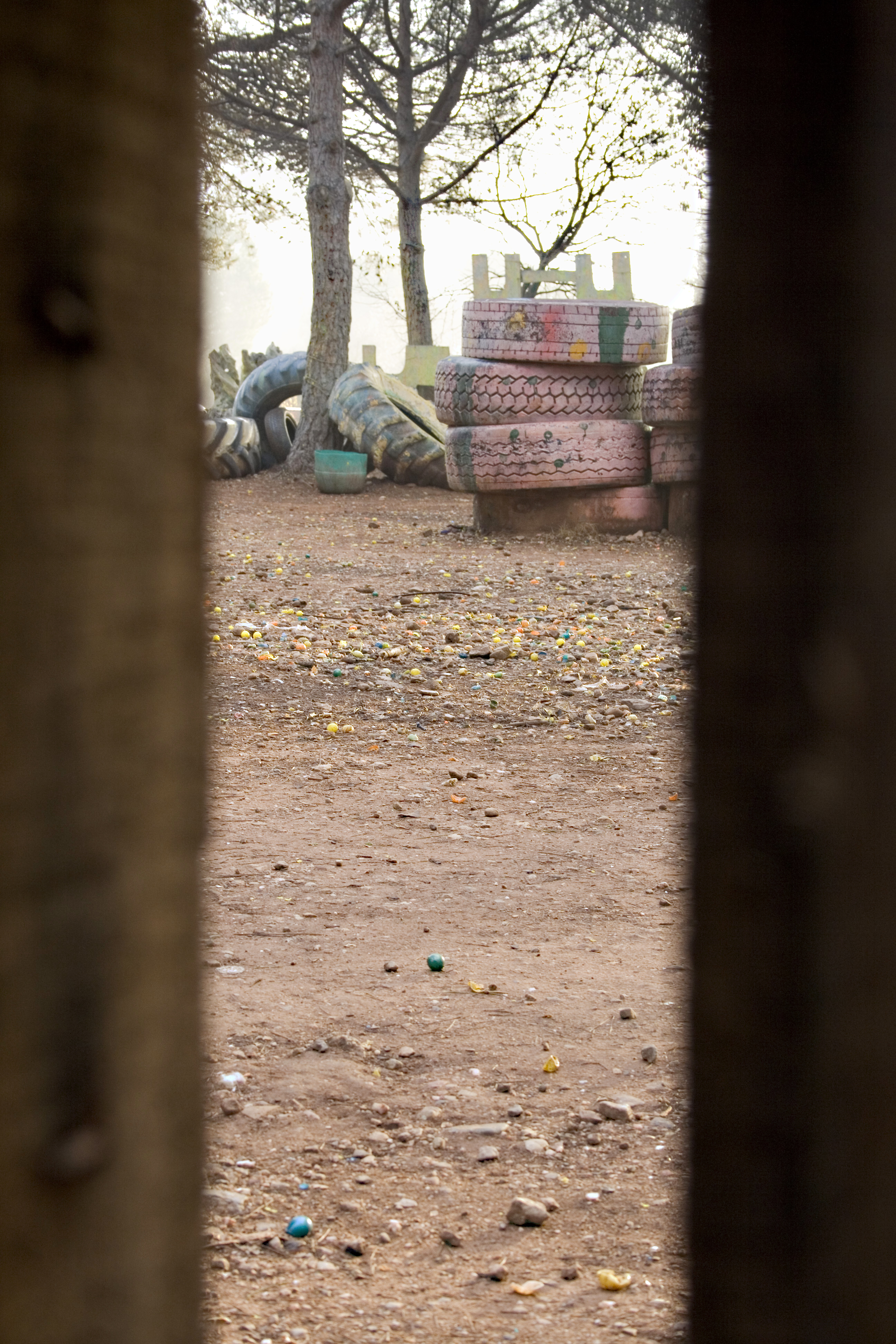 Fotografía Ventana en el álbum Zombi Nation
